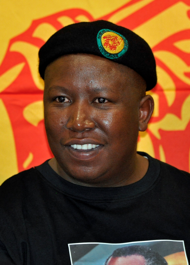 Juju hurt us, says ANC